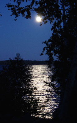 Moonlight on Shelter Bay