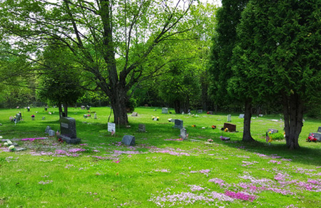 Cemetery in spring