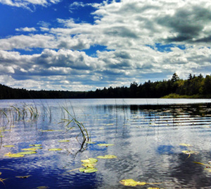 Laughing Whitefish Lake